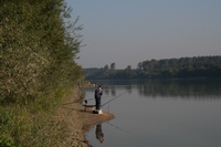 Horgászat